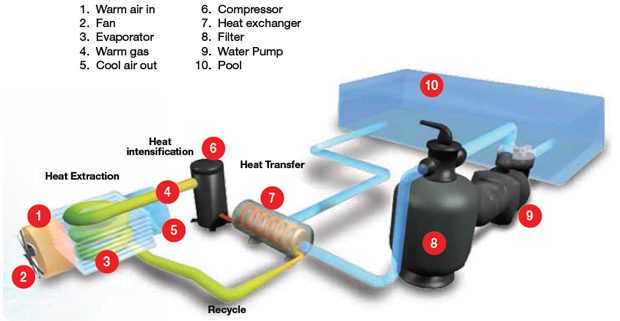 heat pump, Heating and Cooling System, Pool Water Temperature Balance, Pool Heater, Pool Cooler