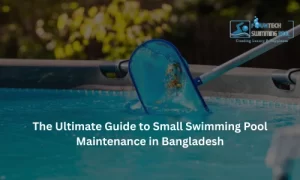 The Ultimate Guide to Small Swimming Pool Maintenance in Bangladesh