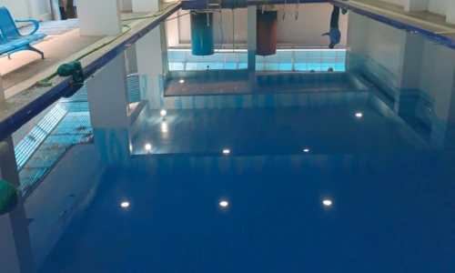 renata Pharmaceuticals swimming pool