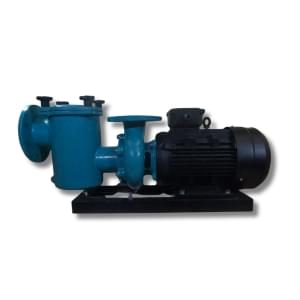 Filter Pump 3 HP - Image 2